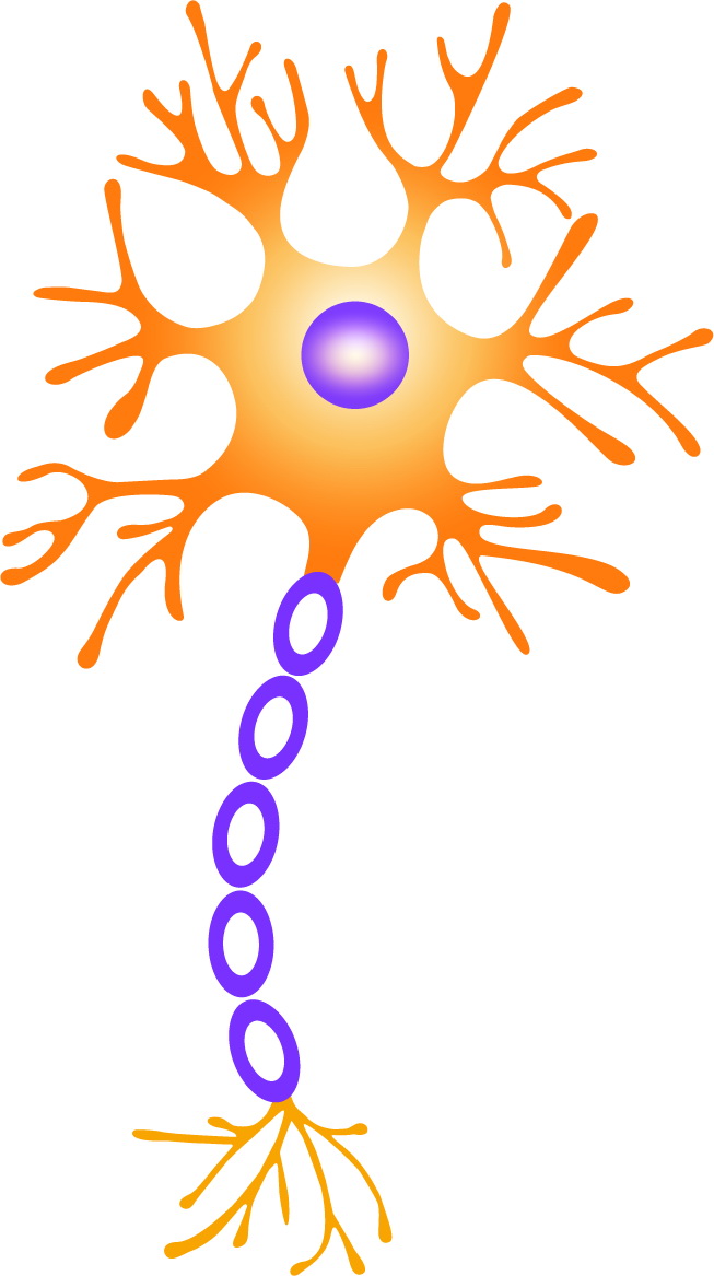 Logo Neuronka